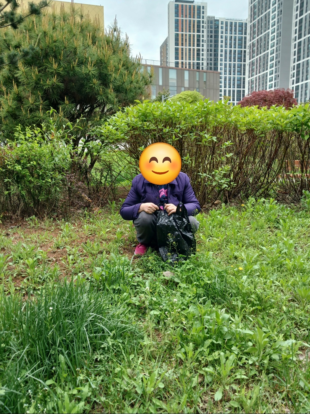 /user/o/ohselcare/editor/2404/6045653e156ecc42989aee8e2326a885_1713836862_1516.jpg 이미지크게보기